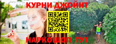 гидра Славгород