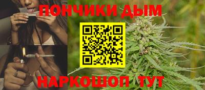 гидра Славгород