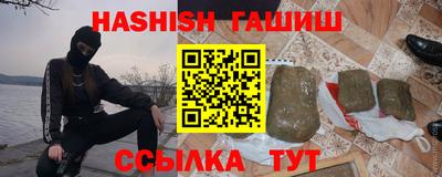 гидра Славгород
