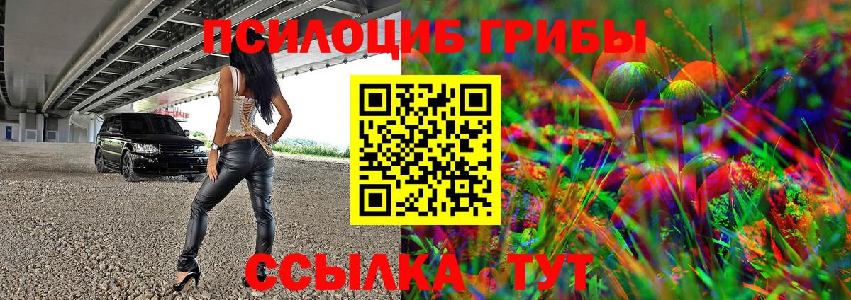 Нижний Тагил  Псилоцибиновые грибы Psilocybine cubensis  Вход с VPN 